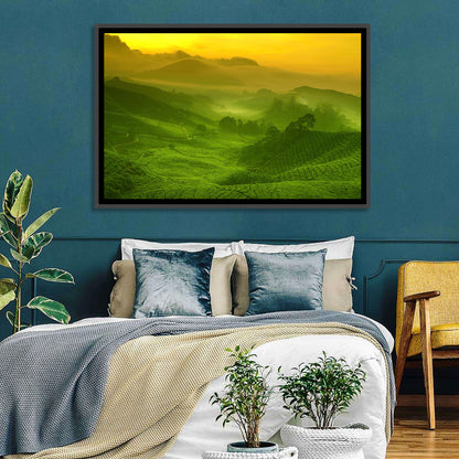 Sunlit Tea Plantation Hills Wall Art