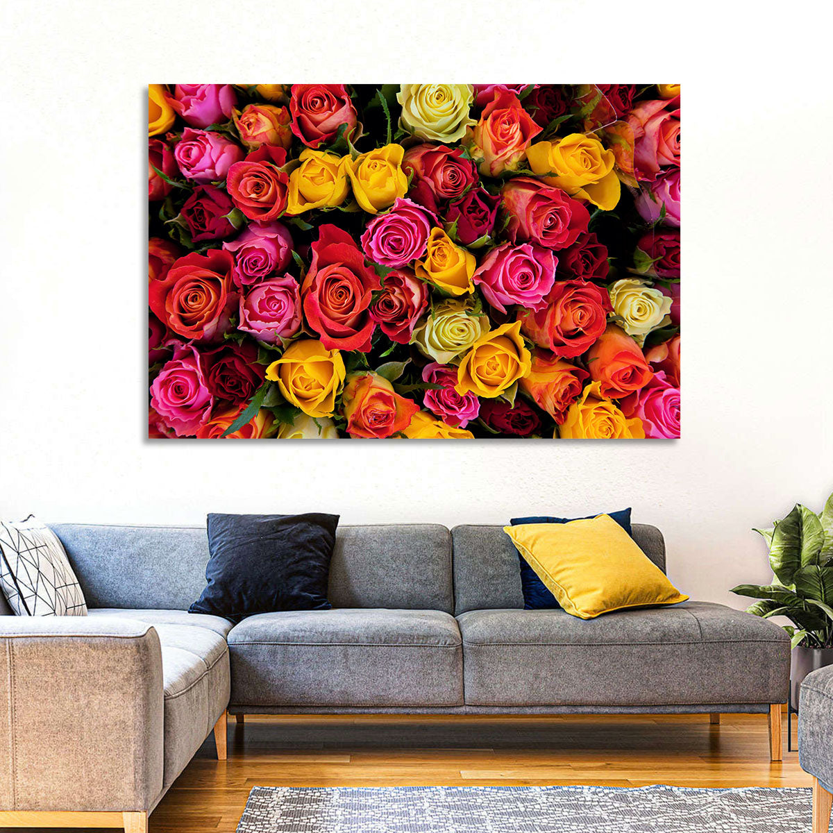 Multicolored Roses Close-up Wall Art in a room, landscape