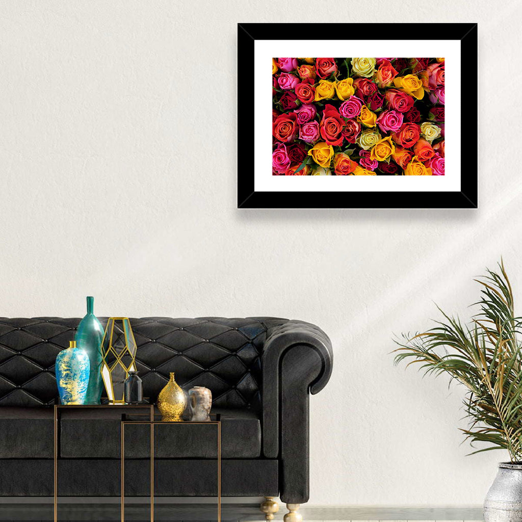 Multicolored Roses Close-up Wall Art
