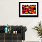 Multicolored Roses Close-up Wall Art