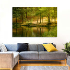 Forest Pond at Golden Hour Wall Art