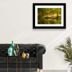 Forest Pond at Golden Hour Wall Art