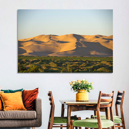 Goby Desert Dunes Wall Art