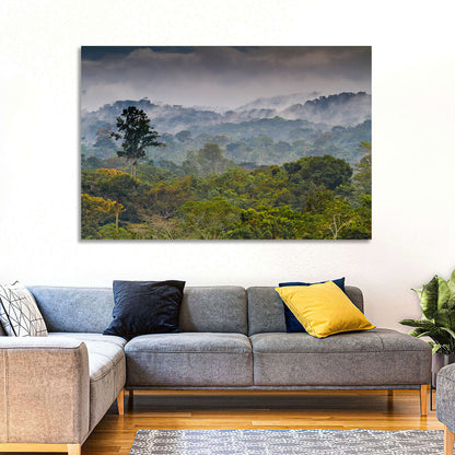 Guinea Rainforest Landscape Wall Art