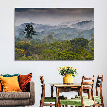 Guinea Rainforest Landscape Wall Art