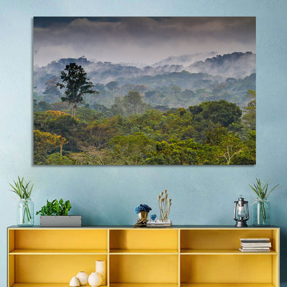 Guinea Rainforest Landscape Wall Art