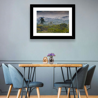 Guinea Rainforest Landscape Wall Art