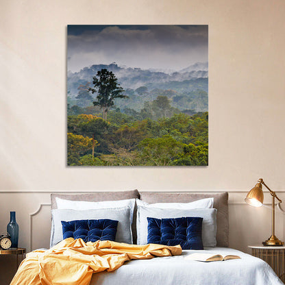 Guinea Rainforest Landscape Wall Art