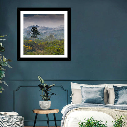 Guinea Rainforest Landscape Wall Art