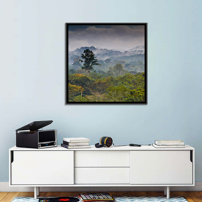 Guinea Rainforest Landscape Wall Art