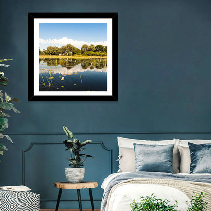 Okavango Delta Waterlilies Wall Art