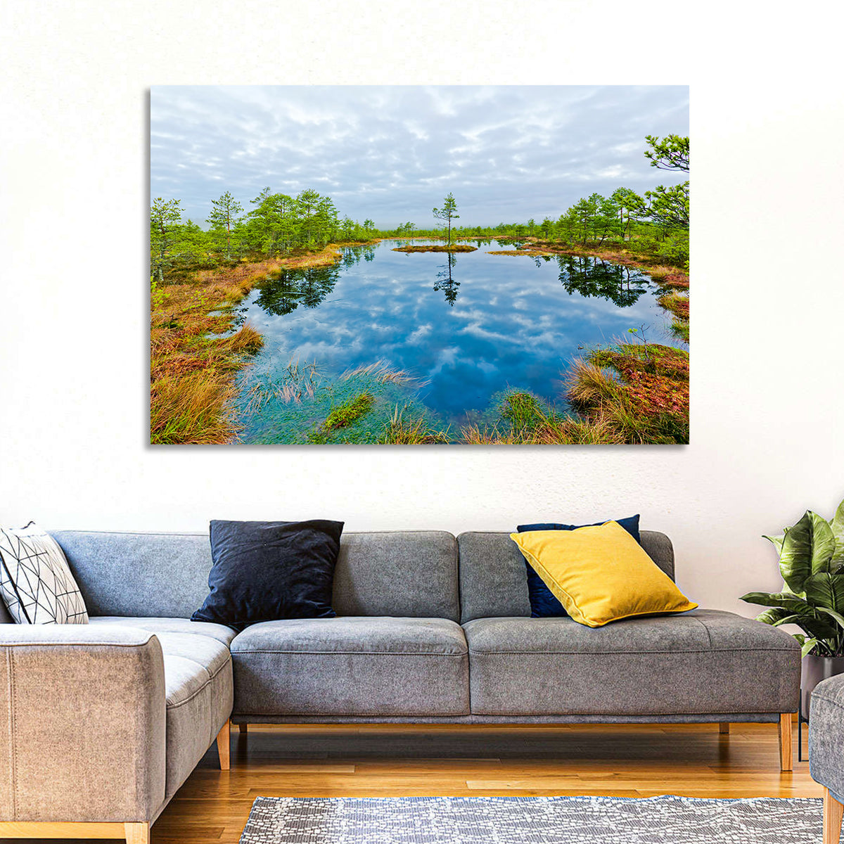 Viru Bog Reflections Wall Art