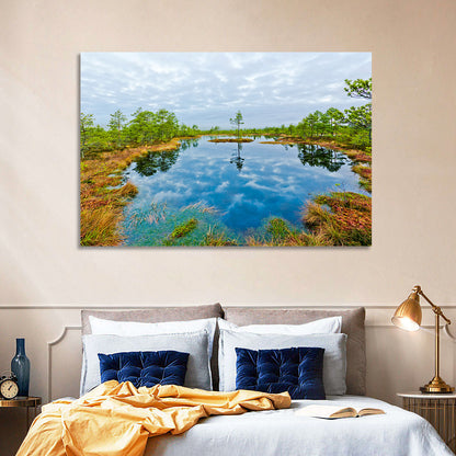 Viru Bog Reflections Wall Art