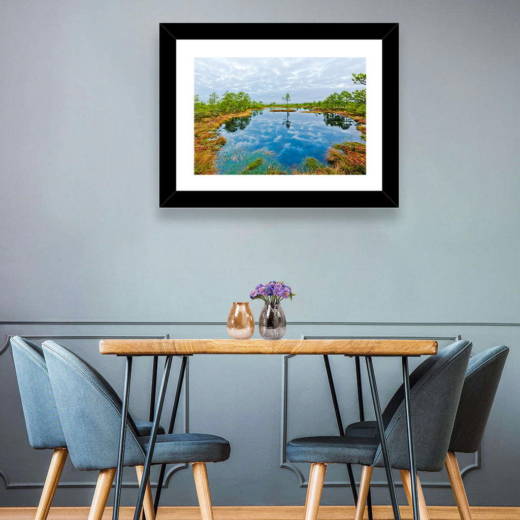 Viru Bog Reflections Wall Art