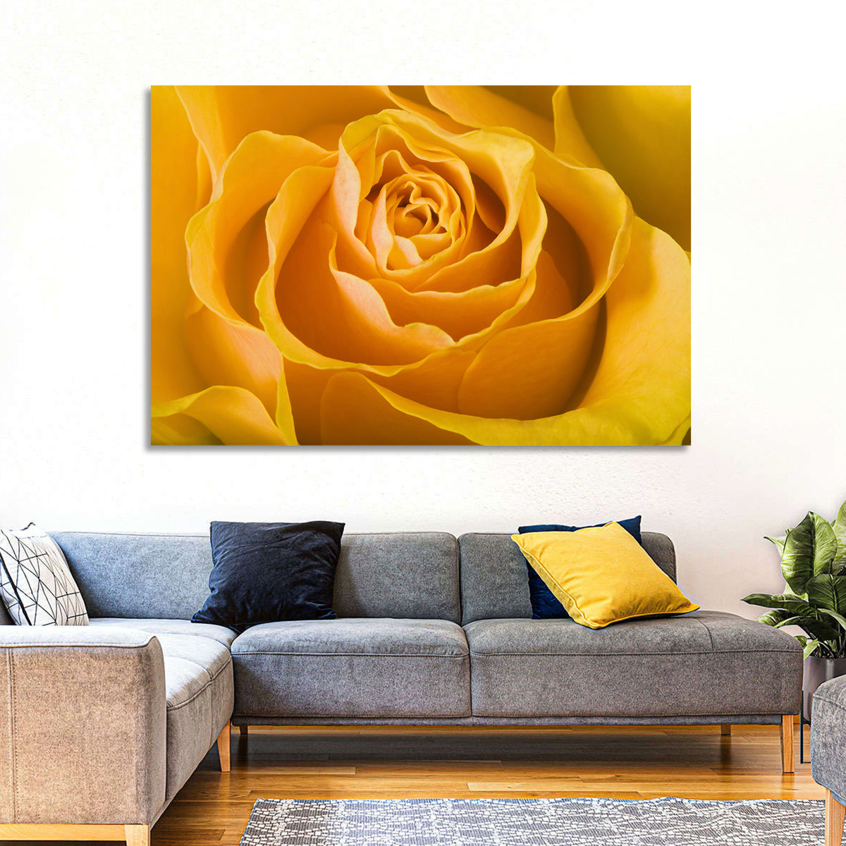 Yellow Rose Close-up Wall Art