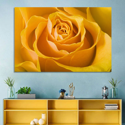 Yellow Rose Close-up Wall Art