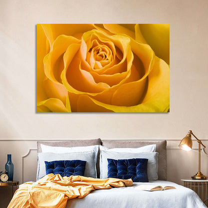 Yellow Rose Close-up Wall Art