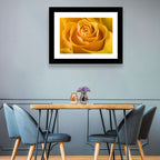 Yellow Rose Close-up Wall Art