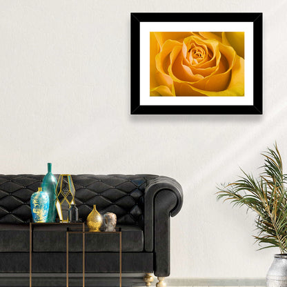 Yellow Rose Close-up Wall Art