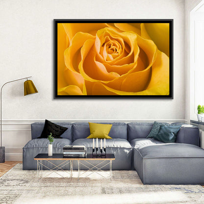 Yellow Rose Close-up Wall Art
