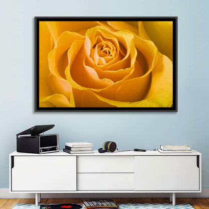 Yellow Rose Close-up Wall Art
