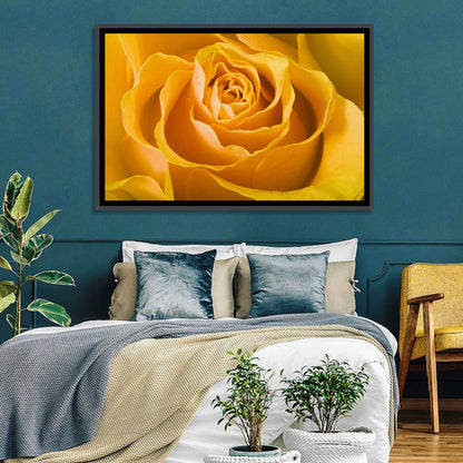 Yellow Rose Close-up Wall Art