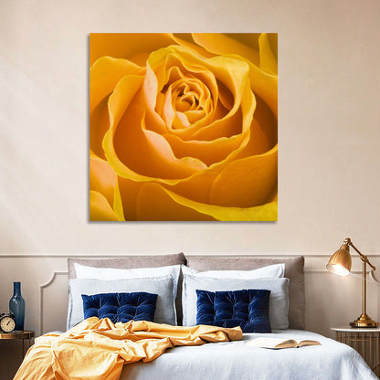 Yellow Rose Close-up Wall Art