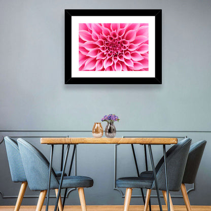 Pink Dahlia Spiral Close-up Wall Art