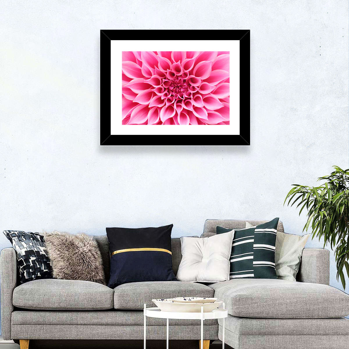 Pink Dahlia Spiral Close-up Wall Art