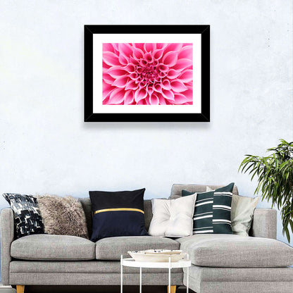 Pink Dahlia Spiral Close-up Wall Art