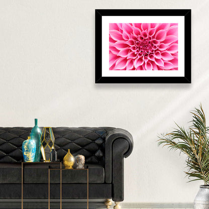 Pink Dahlia Spiral Close-up Wall Art