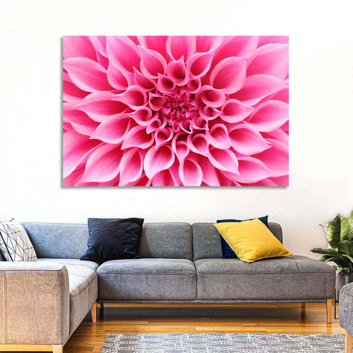 Pink Dahlia Spiral Close-up Wall Art