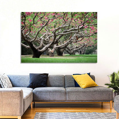Peach Orchard in Bloom Wall Art