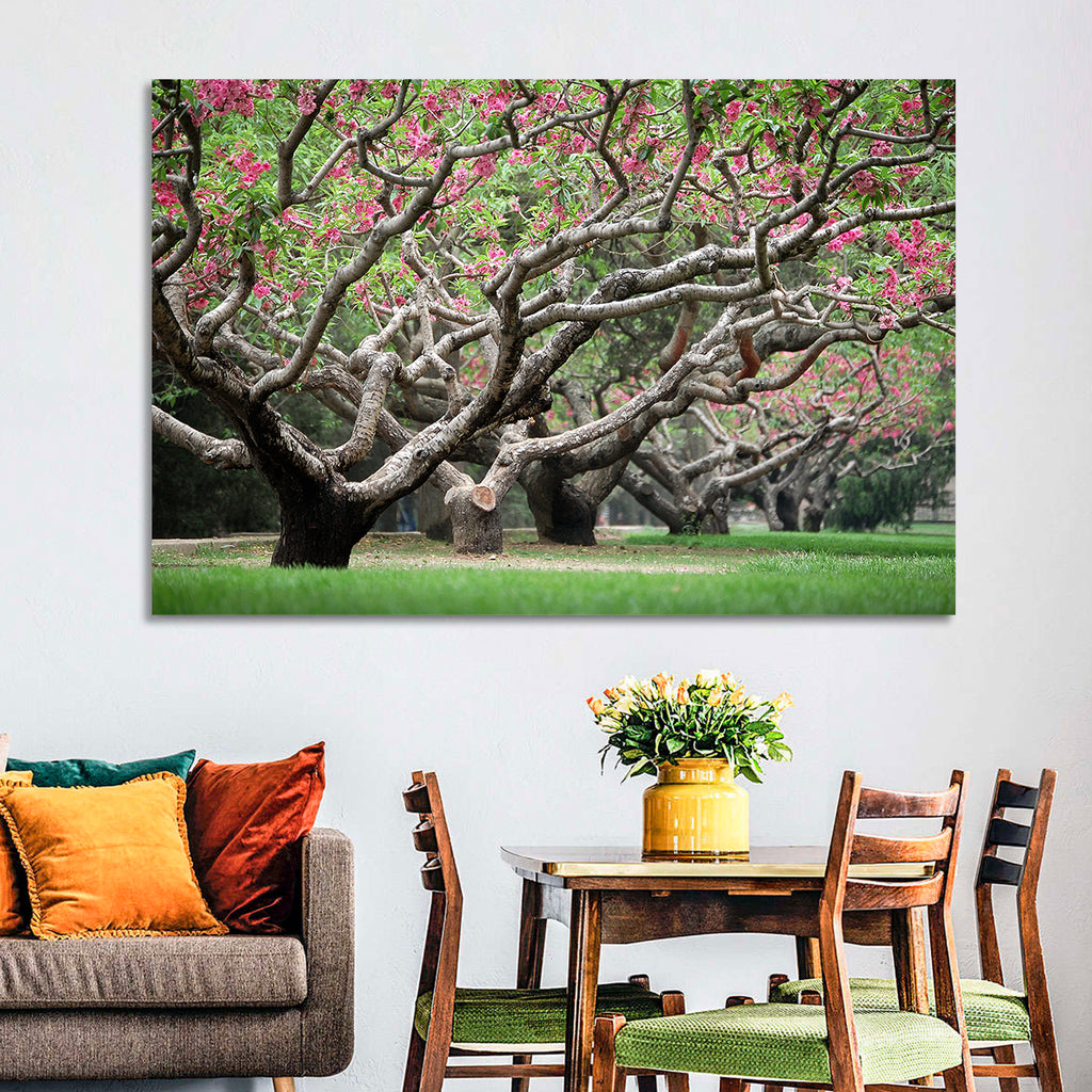 Peach Orchard in Bloom Wall Art