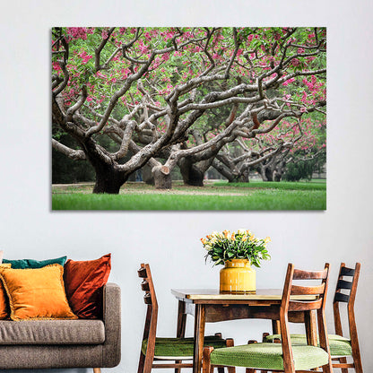 Peach Orchard in Bloom Wall Art