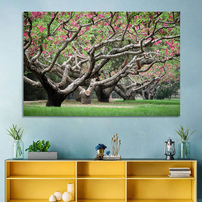 Peach Orchard in Bloom Wall Art
