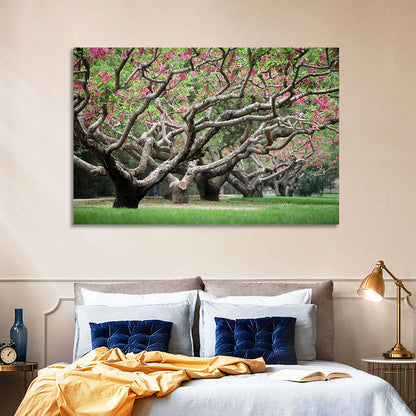 Peach Orchard in Bloom Wall Art