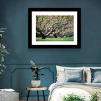 Peach Orchard in Bloom Wall Art