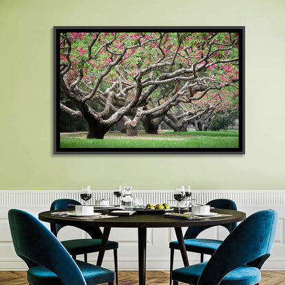 Peach Orchard in Bloom Wall Art