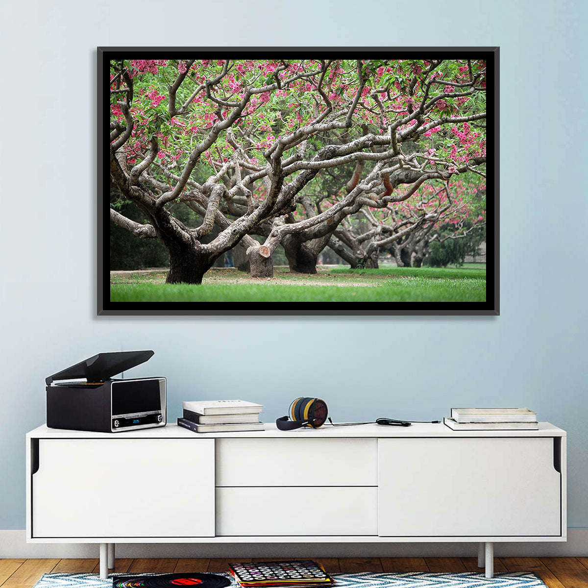 Peach Orchard in Bloom Wall Art in a room, landscape