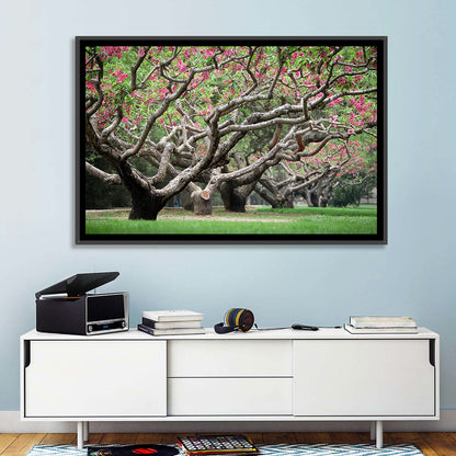 Peach Orchard in Bloom Wall Art