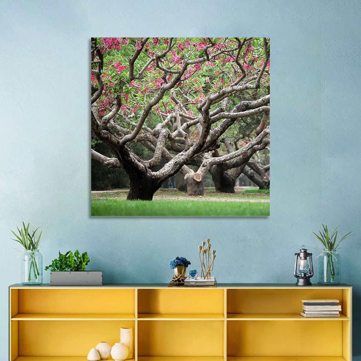 Peach Orchard in Bloom Wall Art in a room, landscape