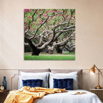 Peach Orchard in Bloom Wall Art
