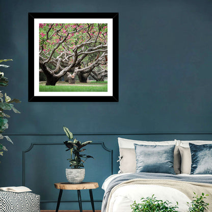 Peach Orchard in Bloom Wall Art