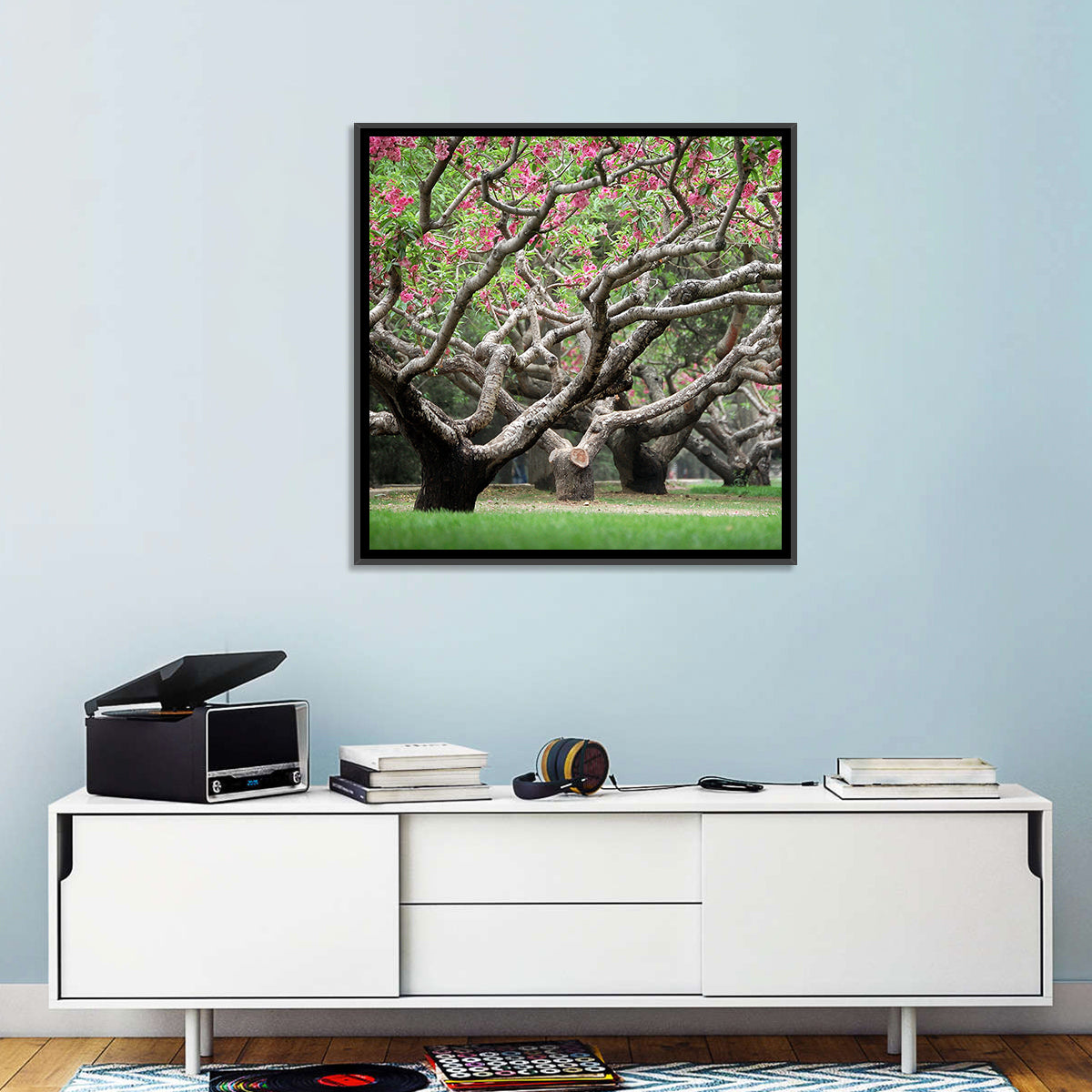 Peach Orchard in Bloom Wall Art in a room, landscape