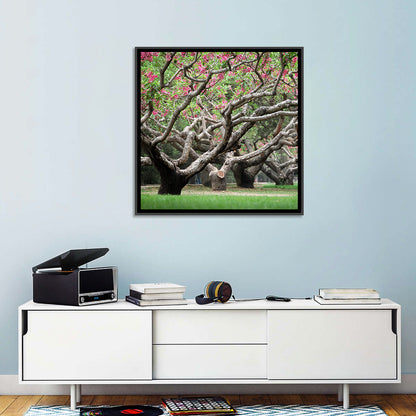 Peach Orchard in Bloom Wall Art