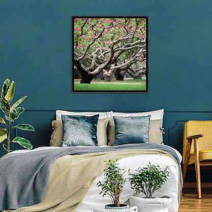 Peach Orchard in Bloom Wall Art