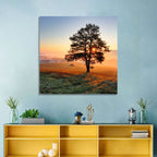 Misty Meadow Sunrise with Lone Tree Wall Art