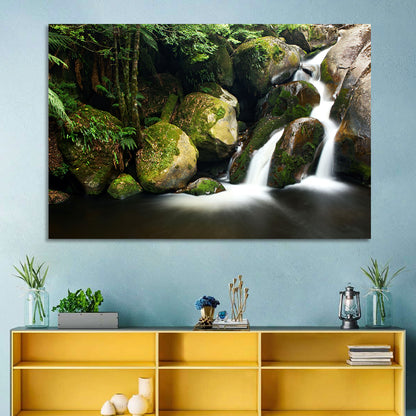 Rainforest Waterfall with Moss Covered Boulders Wall Art