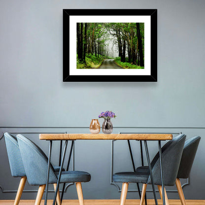 Misty Eucalyptus Road Wall Art